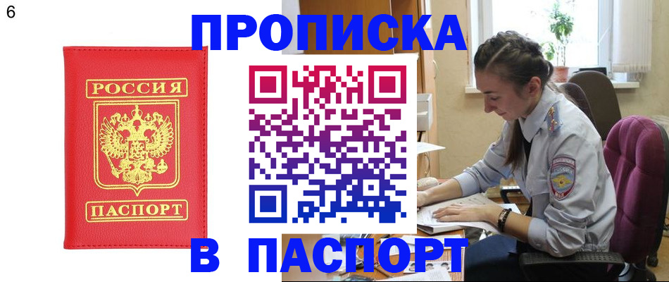 прописка гарантия в Кудрово